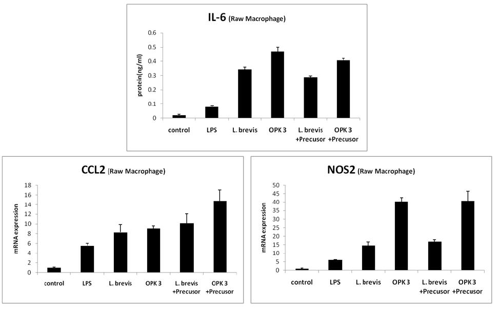 IL-6, CCL2와 NOS2 mRNA 발현량
