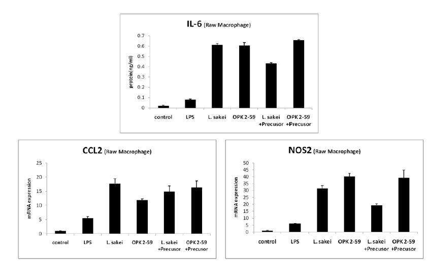 CCL2와 NOS2 mRNA 발현량