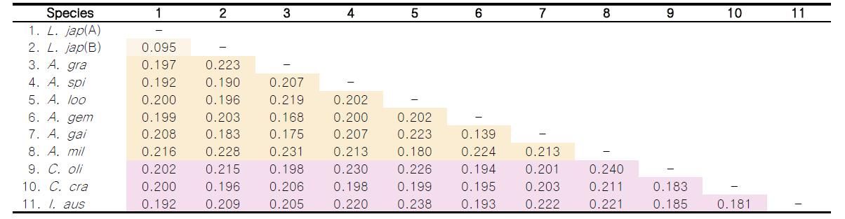 다판류 cox1 유전자 간 kimura 2-parameter distance