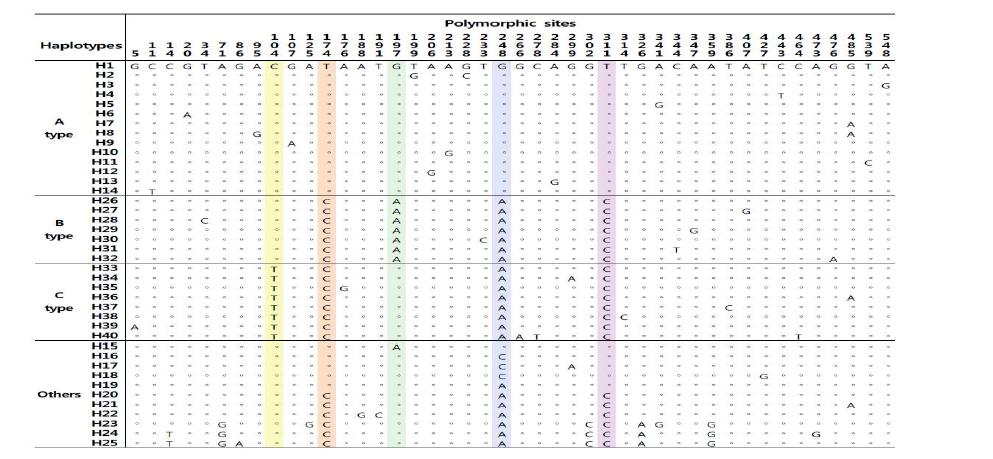 바위게 미토콘드리아 cox1 유전자의 염기서열에서 추출한 haplotype의 polymorphic sites 정보