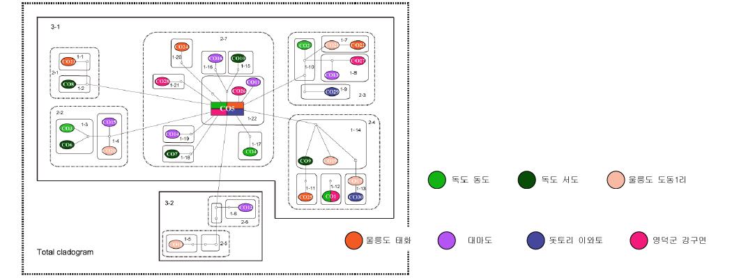 좁쌀무늬총알고둥 미토콘드리아 cox1 유전자 haplotype에 근거한 statistical parsimony network