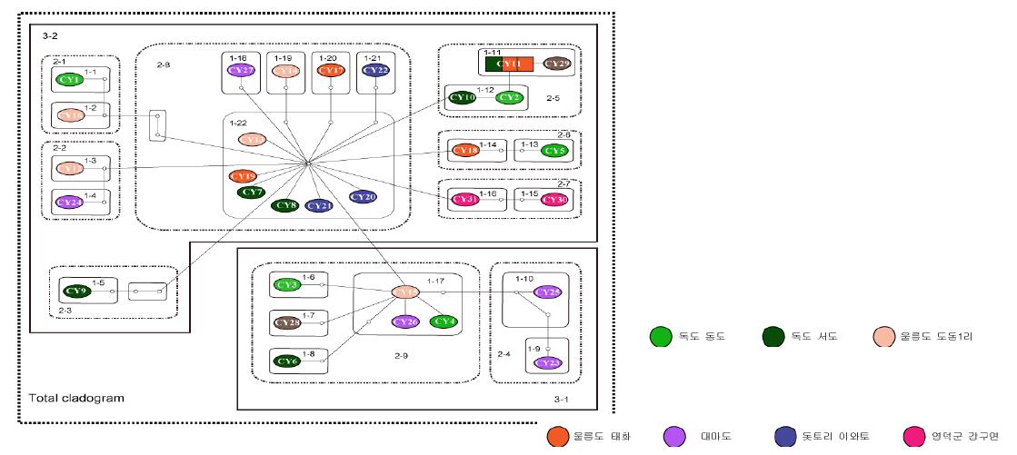 좁쌀무늬총알고둥 미토콘드리아 cytb 유전자 haplotype에 근거한 statistical parsimony network