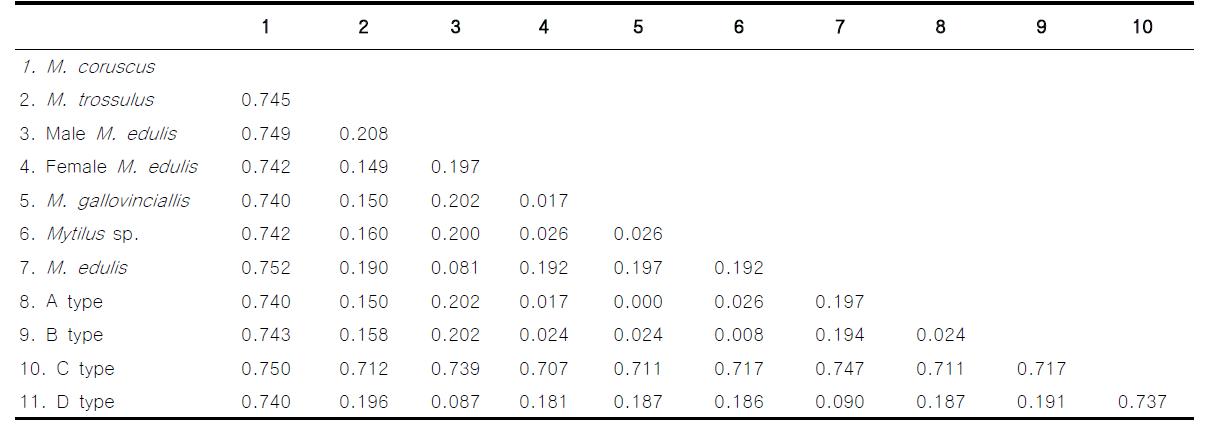 P-distance를 이용한 Mytilus 속 내 종들과 추출한 haplotype간의 유전적 거리