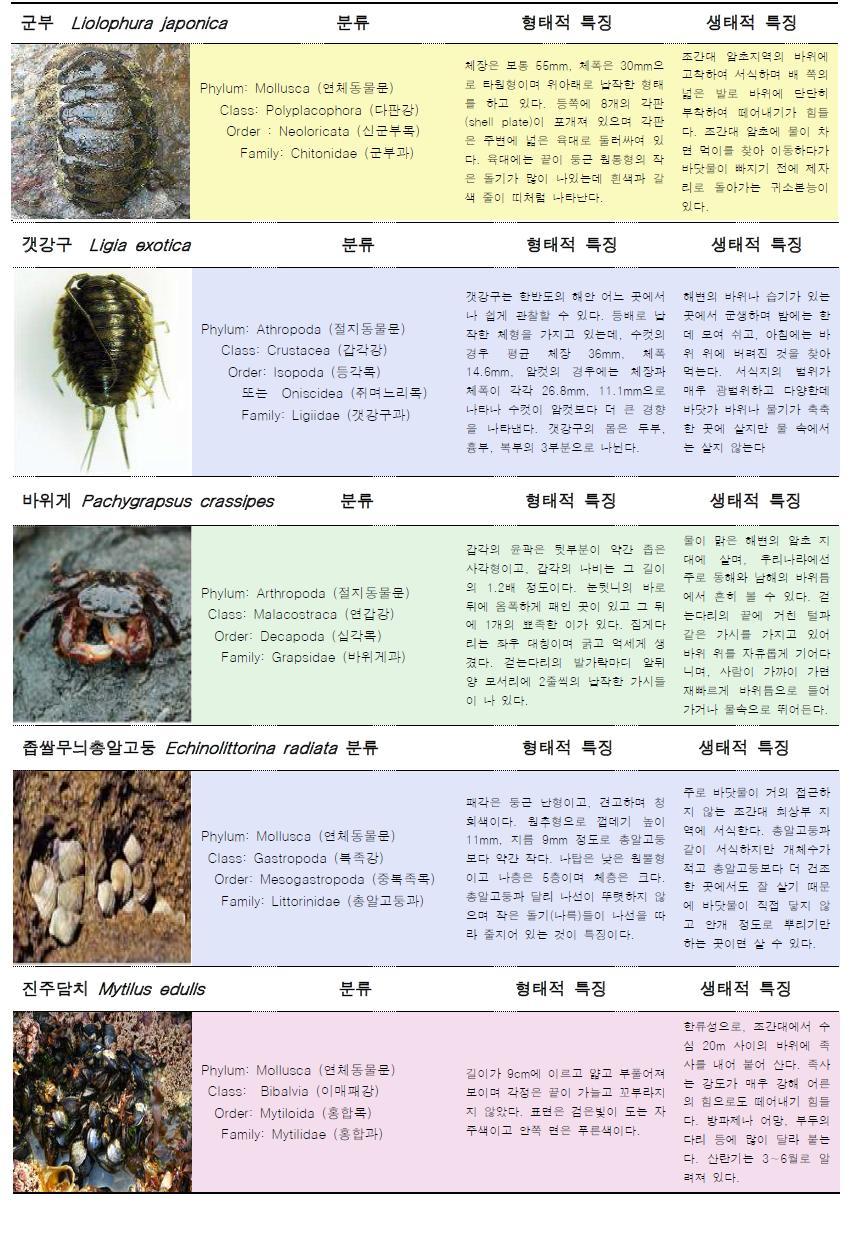 연구 대상종 목록 및 특징