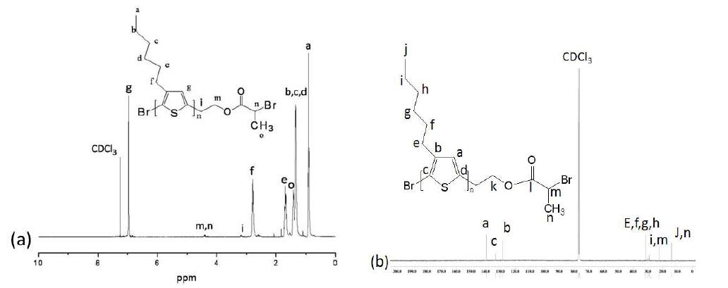 (a) 1H NMR, and (b) 13C NMR analysis of bromoester terminated poly