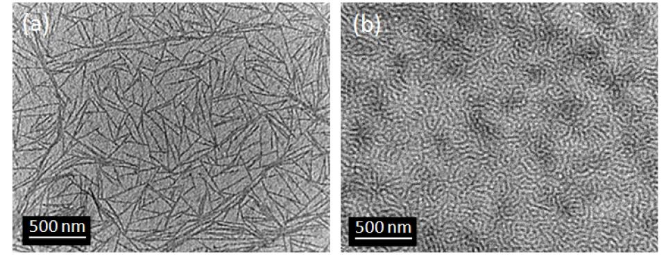 TEM images of thin films of (a) P3HT homopolymer and (b) P3HT-b-PFOMA block copolymer.