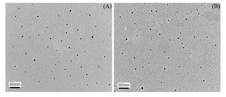 TEM images of PEO-b-PDVB-b-PS nanoparticles using (A) 0.5 and (B) 1.0 wt% of the PEO-b-PS block copolymer to DVB.