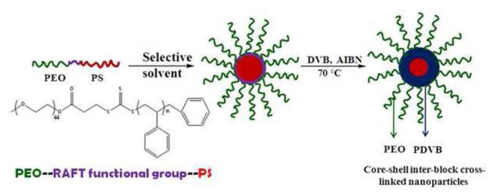 Synthesis of core-shell inter-block crosslinked nanoparticles