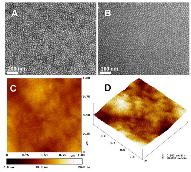 TEM and TM-AFM images of PEO5k-b-PFOMA21k thin films before and after PF-5080 solvent vapor annealing. TEM images of (A) As-cast thin film, and (B) Film after 4 h annealing on a carbon coated TEM grid. TM-AFM (C) Height image, and (D) 3-D image on a mica substrate after 4 h annealing.