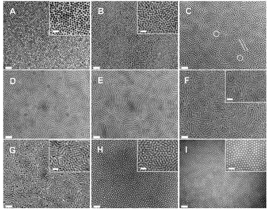 Time evolution of morphologies of PEO10k-b-PFOMA21k thin films under PF-5080 solvent vapor annealing. TEM images of (A) As-cast film, and film after (B) 4 h, (C) 8 h, (D) 12 h, (E) 16 h, (F) 18 h, (G) 24 h, (H) 36 h, and (I) 39 h annealing. Scale bars: 200 nm. Inset scale bars: 100 nm.