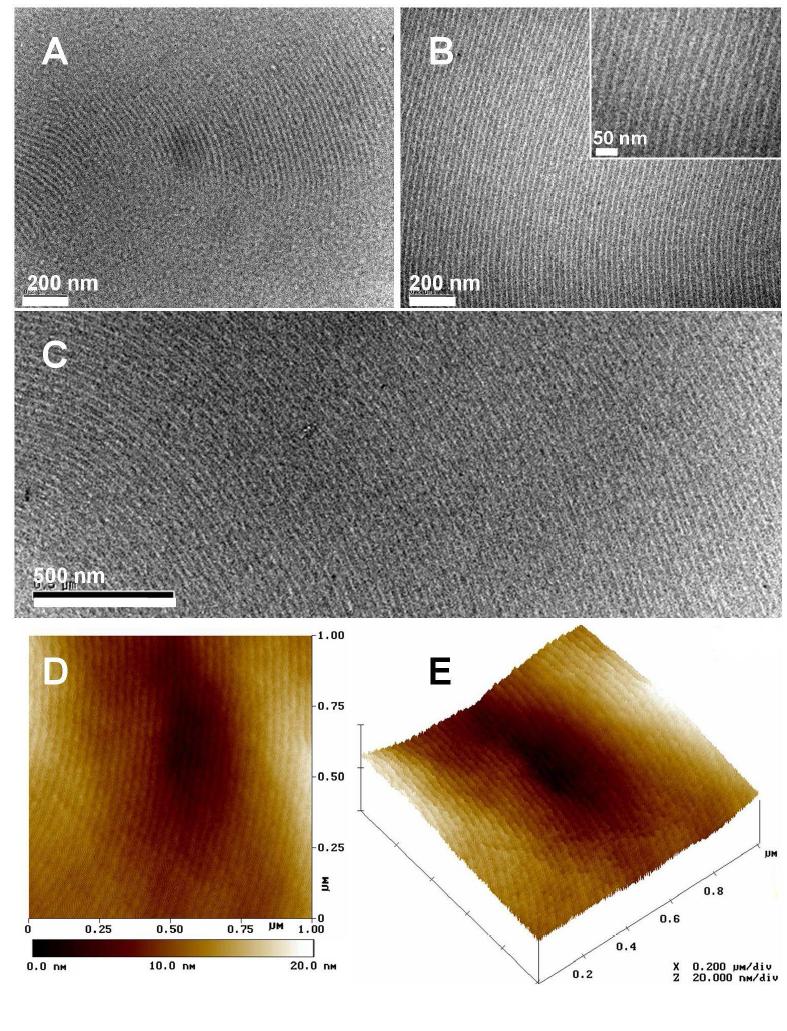 Time evolution of highly ordered in-plane cylindrical morphology of PEO5k-b-PFOMA21k thin films under TFT solvent vapor annealing. TEM images after (A) 3 h, (B) and (C) 7 h at different magnification. TM-AFM (D) height image and (E) 3-D image after 7 h TFT solvent vapor annealing.