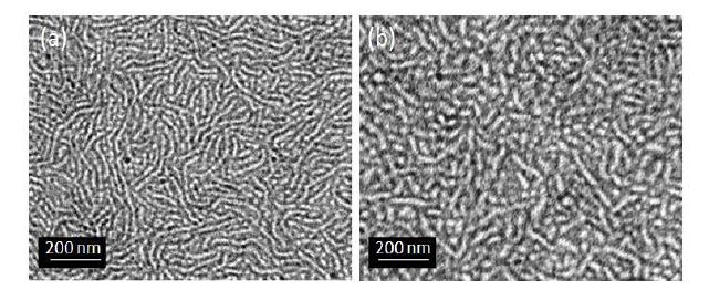 TEM images of P3HT-b-PFOMA copolymeric thin films with high magnification after (a) thermal annealing at 150 ℃, and (b) PF 5080 vapor annealing for 12 h.