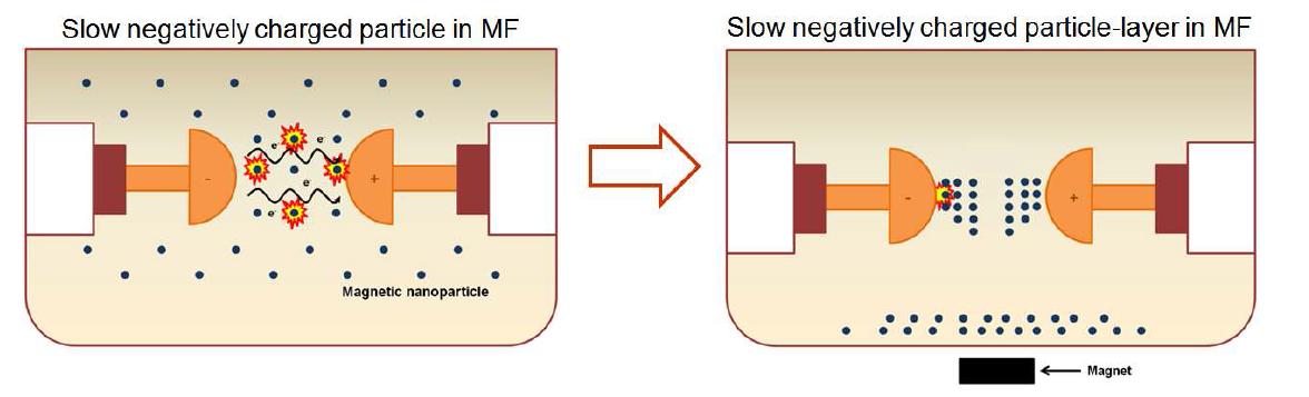인가 자기장에 의한 자성나노입자 이동 특성 및 전자 차단막 효과