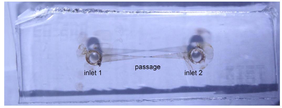자성나노입자 이동 특성 가시화를 위해 제작된 마이크로 채널