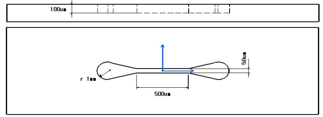 제작된 마이크로 채널의 개략도