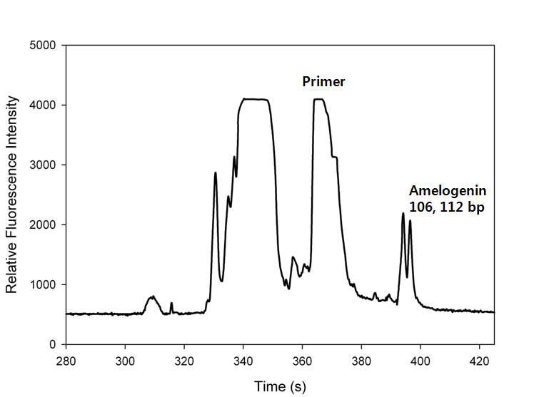 아멜로제닌(Amelogenin) Locus 검출 electropherogram