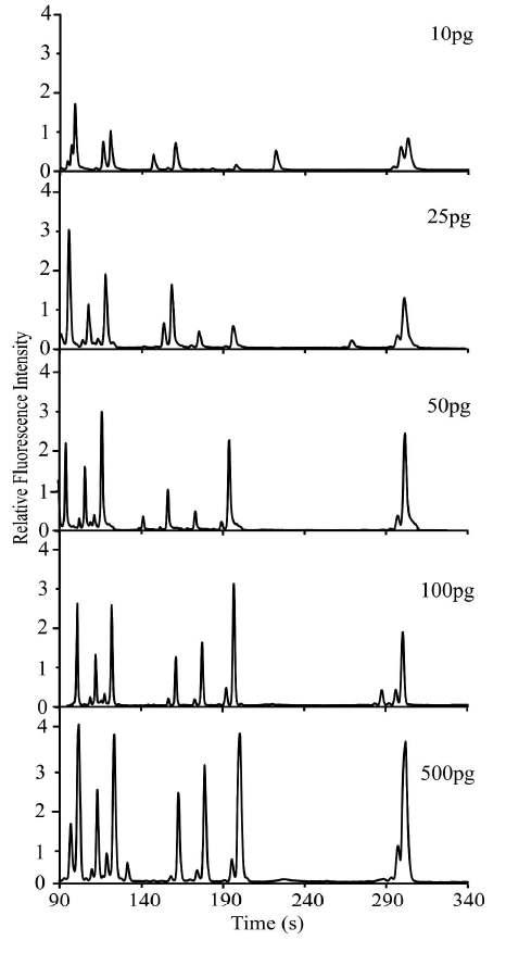 sample stacking CE 칩에서의 LOD (limit of detection) 테스트 (7-plex mini Y STR)