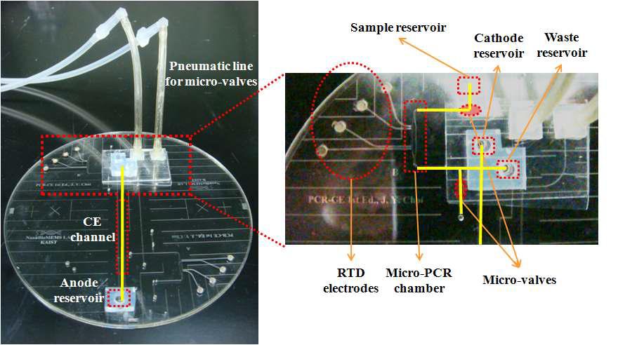 Prototype의 PCR-CE Microdevice