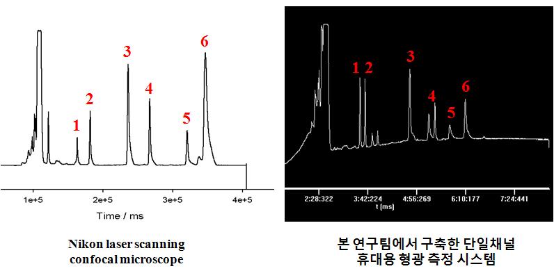 동일 유전자 샘플의 LSCM 과 휴대용 시스템에서의 검출 비교