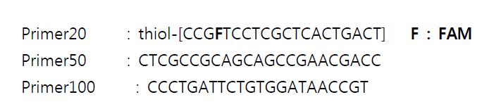 Target DNA 제작에 필요한 Primer