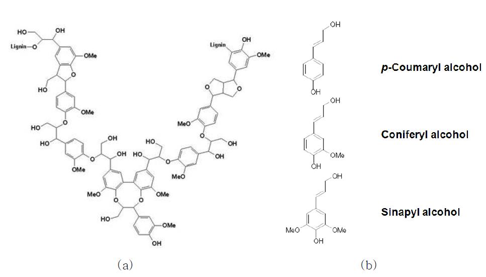 리그닌 폴리머의 일부 구조, (b) 세 가지 리그닌 단량체