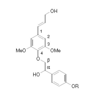 β-O-4 ether 결합