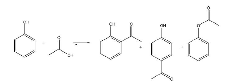 NCW 상에서의 Friedel-Crafts acylation