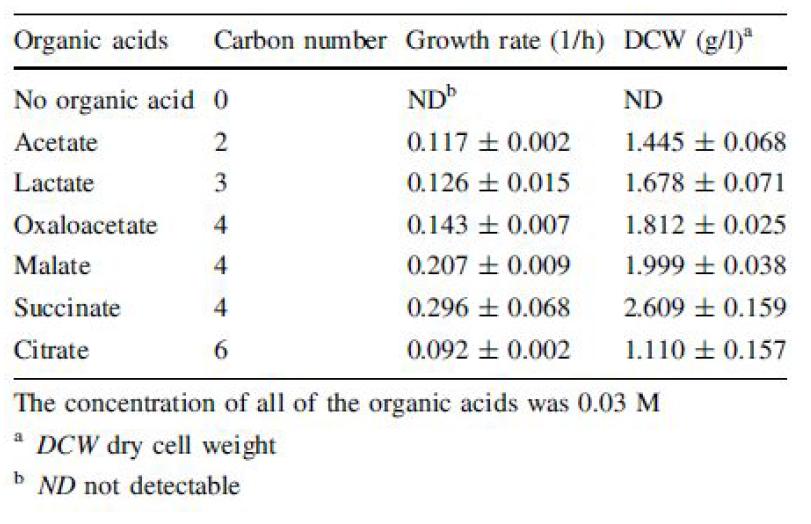 Carbon 수가 다른 여러 가지 organic acid를 첨가하였을 때 R. sphaeroides 의 growth rate와 DCW