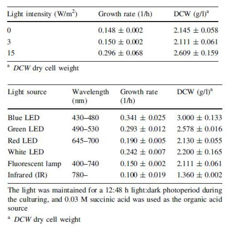 Light intensity와 wavelength에 따른 R. sphaeroides 의 growth rate와 DCW