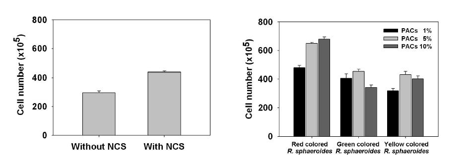NCS와 PACs을 처리하였을 때 HeLa cell 성장비교