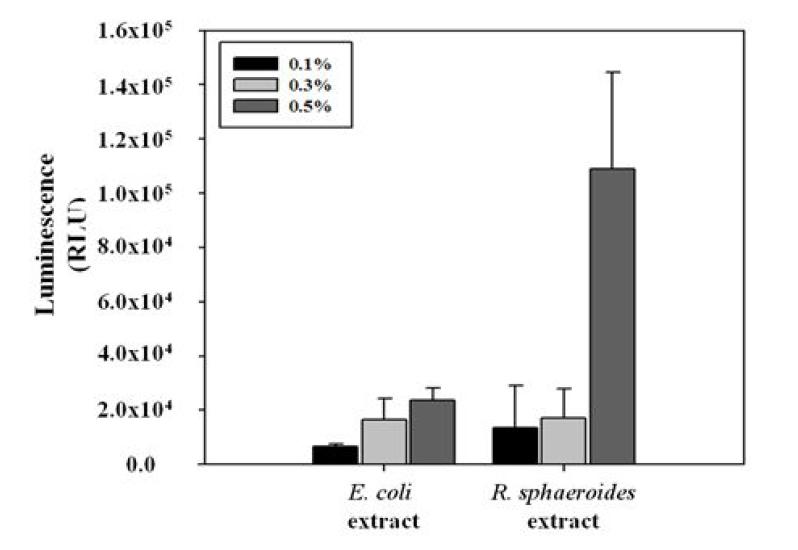 E.coli와 R. sphaeroides 추출액의 ATP 비교