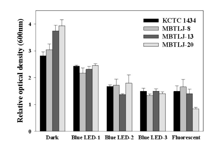 화학적 변이균주들을 다양한 빛 조건에서 추출한 PACs을 E. coli의 첨가하였을 때 상대적 성장 효과
