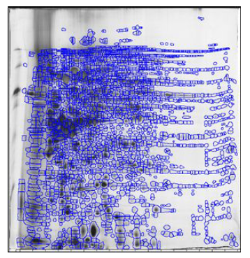 D24 조건에서 자란 R. sphaeroides 균주의 pH 3-10사이의 proteome map