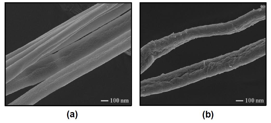 (a) PS/PSMA와 (b) PS/PSMA 나노섬유로 고정화된 탄산무수화 효소의 FE-SEM 분석 결과