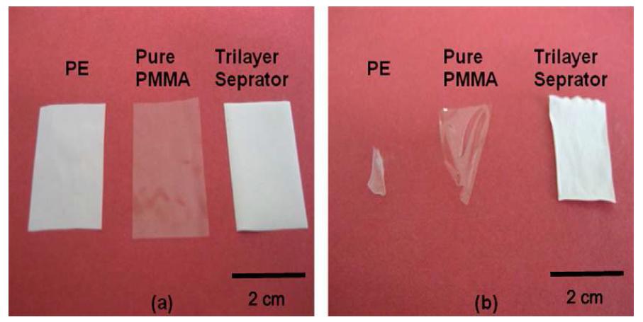 다양한 분리막 샘플을150oC 오븐에 20분 놓아둔 전/후의 사진