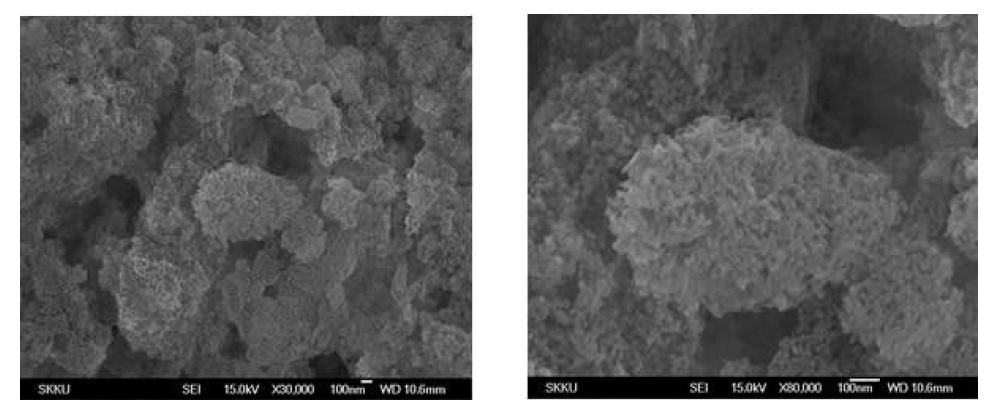 3차원 모폴로지를 갖는 50nm Al2O3/PVdF-HFP(9/1 by weight) 분리막 고배율 분리막 표면