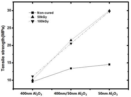 전자선 조사와 알루미나 입자 크기에 따른 IPS의 인장강도