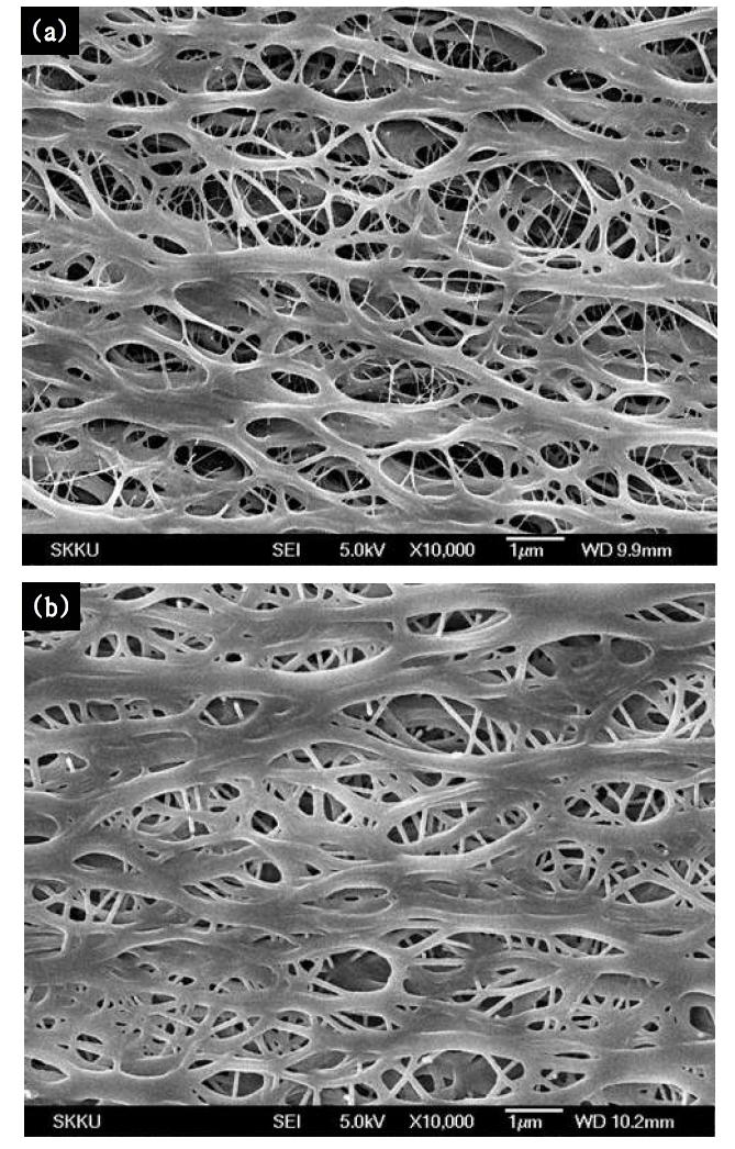 ALD로 Al2O3가 200nm 증착된 PE 분리막의 SEM 이미지