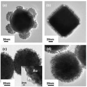 형상제어된 금 나노입자 위에 선택적으로 과성장한 백금. (a) 팔면체, (b) 육면체, (c) 구형입자 위의 부분적 성장, (d) 구형입자 위에서의 full shell