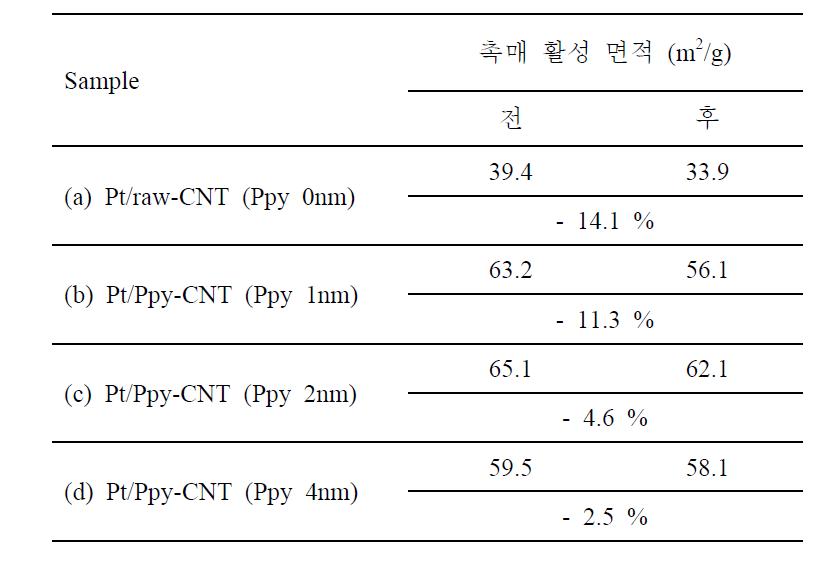 촉매 활성 면적 비교