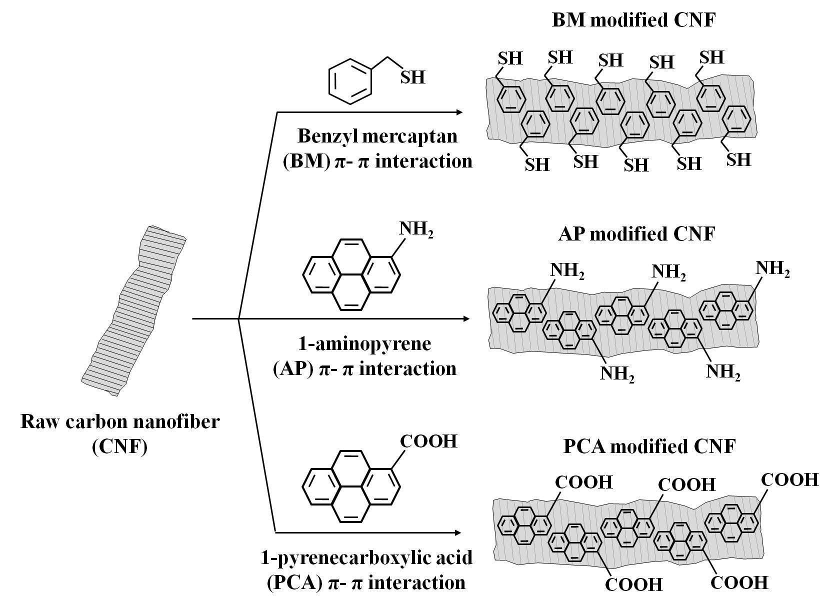 결정성 탄소인 탄소나노섬유 (CNF)에 비파괴 표면 처리법이 적용된 그림 : benzyl mercaptant (BM), 1-aminopyrene (AP), 1-pyrenecarboxylic acid (PCA)