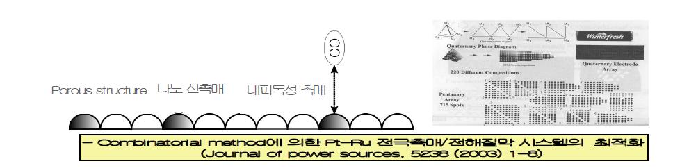 신촉매/전해질 막 시스템의 최적화