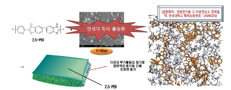 신규 PBI 전해질 막의 개념도 및 구조