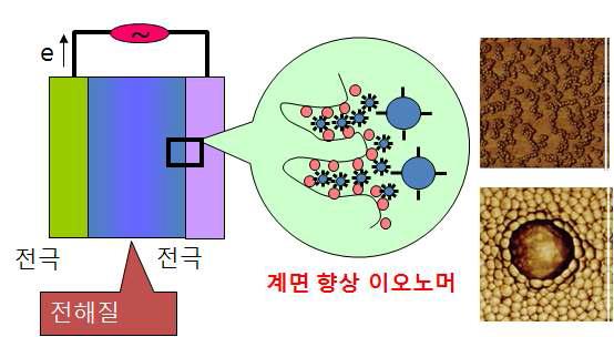 전극/전해질 계면 향상용 이오노머 구조