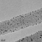 polyol 방법으로 Pt를 CNT에 담지 시킨 SEM사진: Pt particle size 1.5~3nm