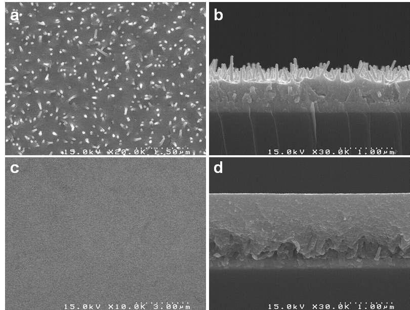 CIS/ITO nanorod gap-filling SEM images