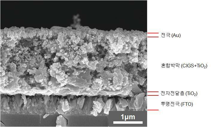 완성된 TiO2-CIGS 혼합 박막 태양전지의 SEM 단면도