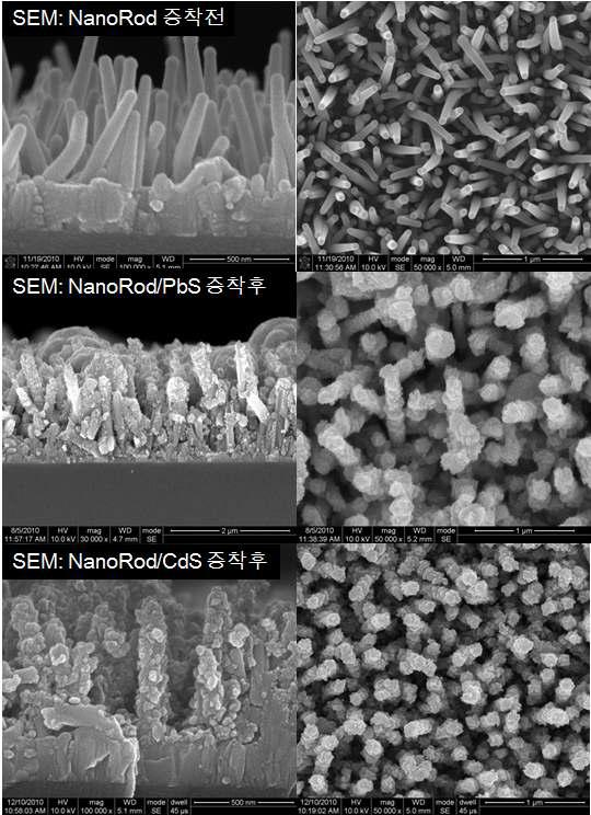 Nanorod 박막 기판과 그 위에 증착된 PbS와 CdS SEM 분석 결과