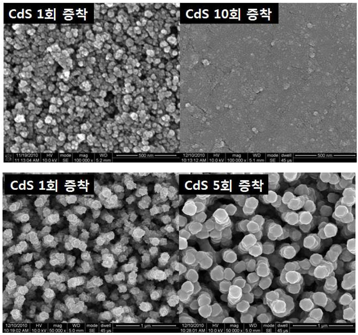 CdS 증착회수에 따른 다공성 TiO2 박막 기판(상)과 nanorod 기판(하)의 SEM