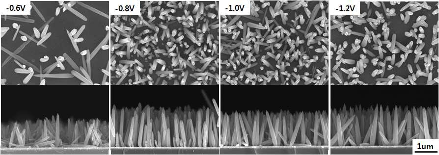 전압별로 제조된 ZnO nanorod